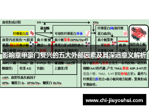 影响意甲豪门复兴的五大外部因素及其深远意义解析 影响意甲豪门复兴的五大外部因素及其深远意义解析