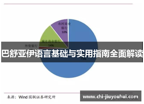 巴舒亚伊语言基础与实用指南全面解读 巴舒亚伊语言基础与实用指南全面解读