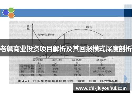 老詹商业投资项目解析及其回报模式深度剖析