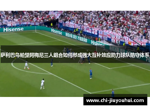 萨利巴乌帕楚阿梅尼三人组合如何形成强大互补效应助力球队防守体系