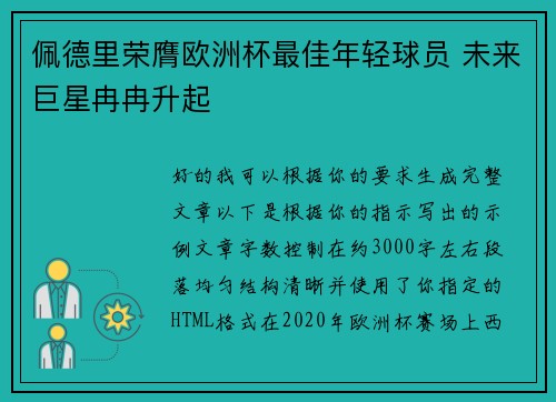 佩德里荣膺欧洲杯最佳年轻球员 未来巨星冉冉升起
