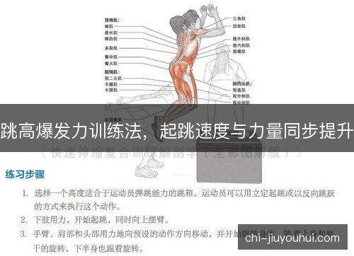 跳高爆发力训练法,起跳速度与力量同步提升 跳高爆发力训练法,起跳速度与力量同步提升